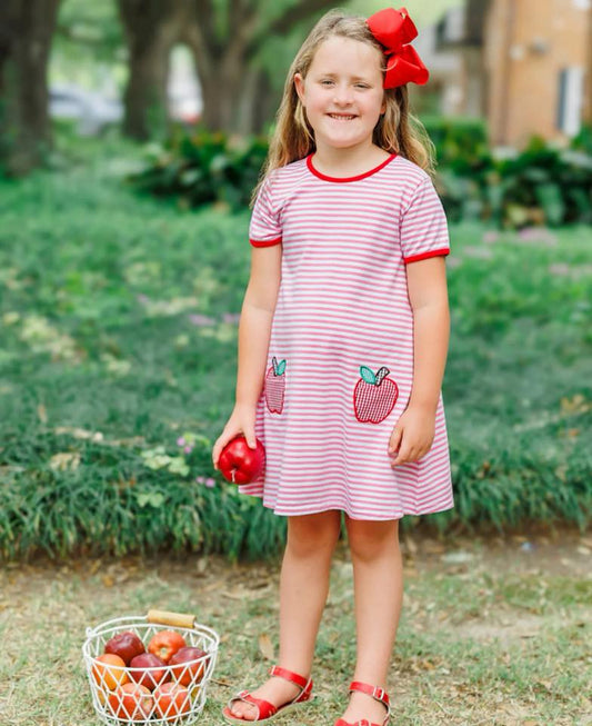 Apple Pocket Pink Stripe Dress