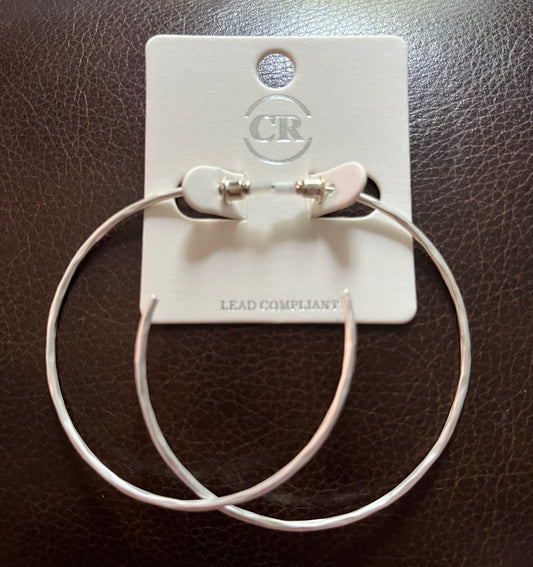 Silver Hoops
